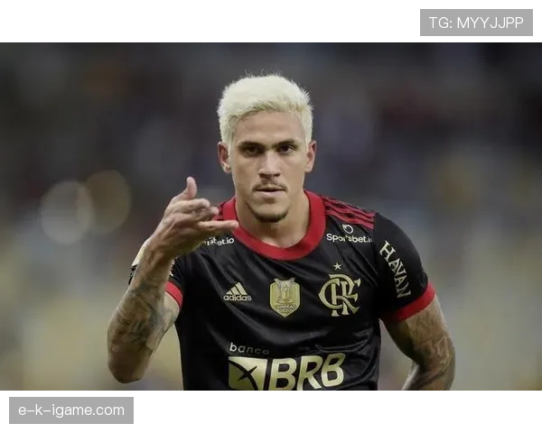 南美足球新星涌现，人才培养机制革新引关注